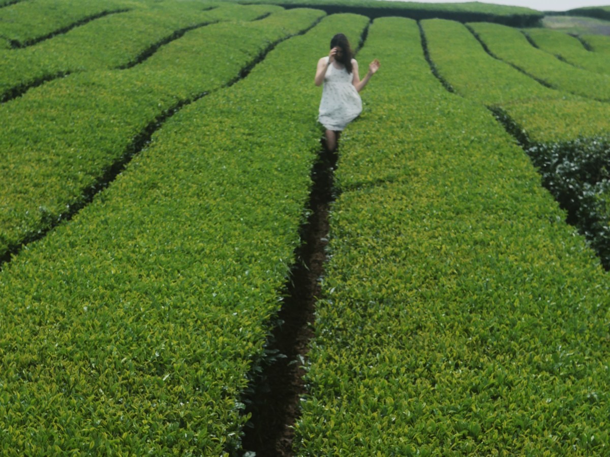 9 lieux à visiter à Jeju en Corée du Sud (Jeju en une semaine&nbsp;2/3)